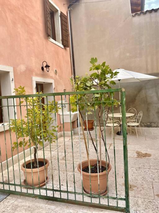 Casa Ca Orsa Cavaion Veronese Exterior foto